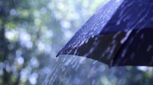 Чадор и долги ракави – Дожд, грмежи и врнежи до крај на неделата