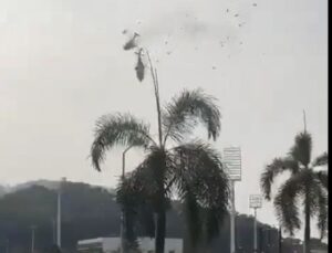 (Видео) Судар на два хелихоптери во воздух во Малезија, десет загинати