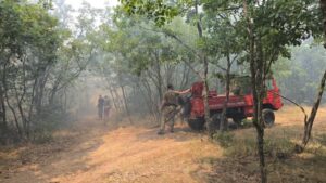 (Видео) Во моментов најсериозен е пожарот во дојранско Николиќ, вели Ангелов